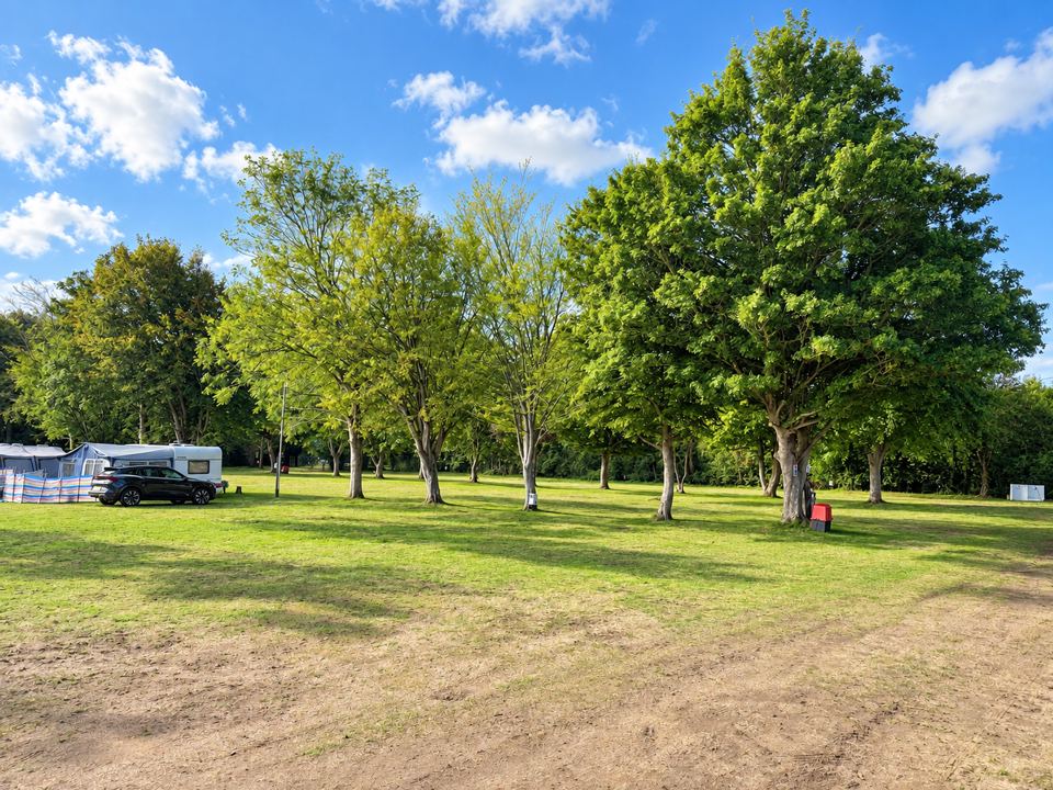 Touring pitches among the trees