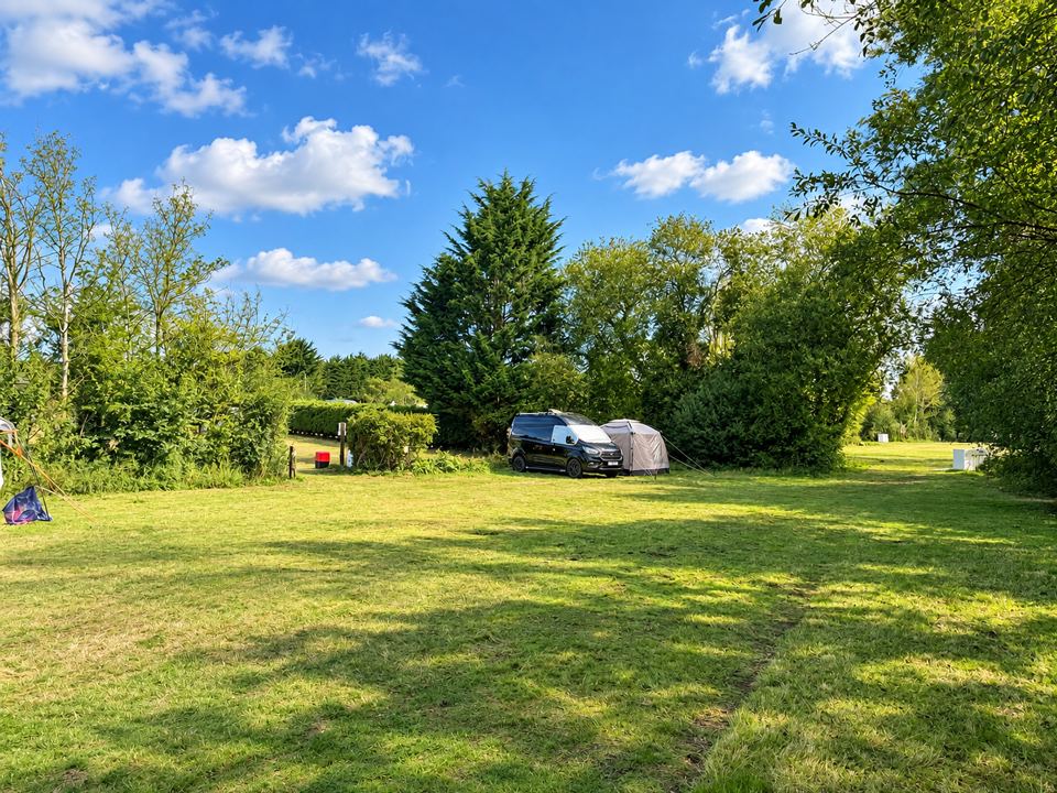 Quiet field edged by trees