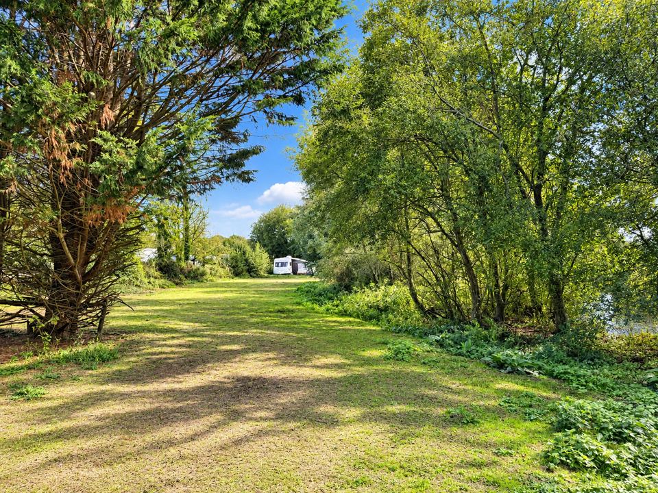 Grassy path by the river