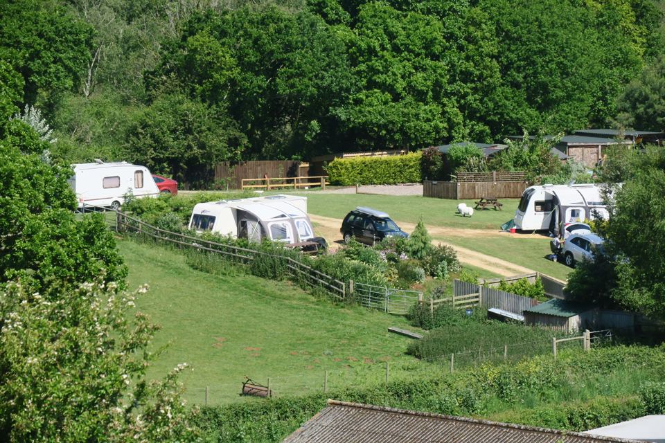 Caravan pitches below the woods