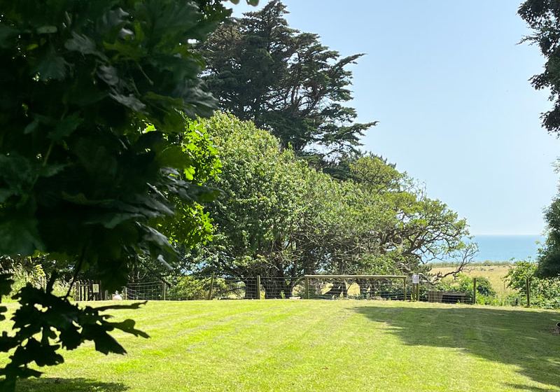 Lawn with a glimpse of the sea