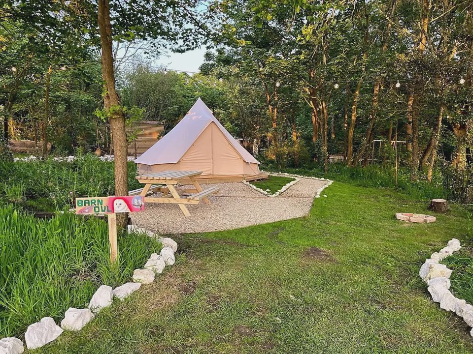 Barn Owl bell tent in the trees
