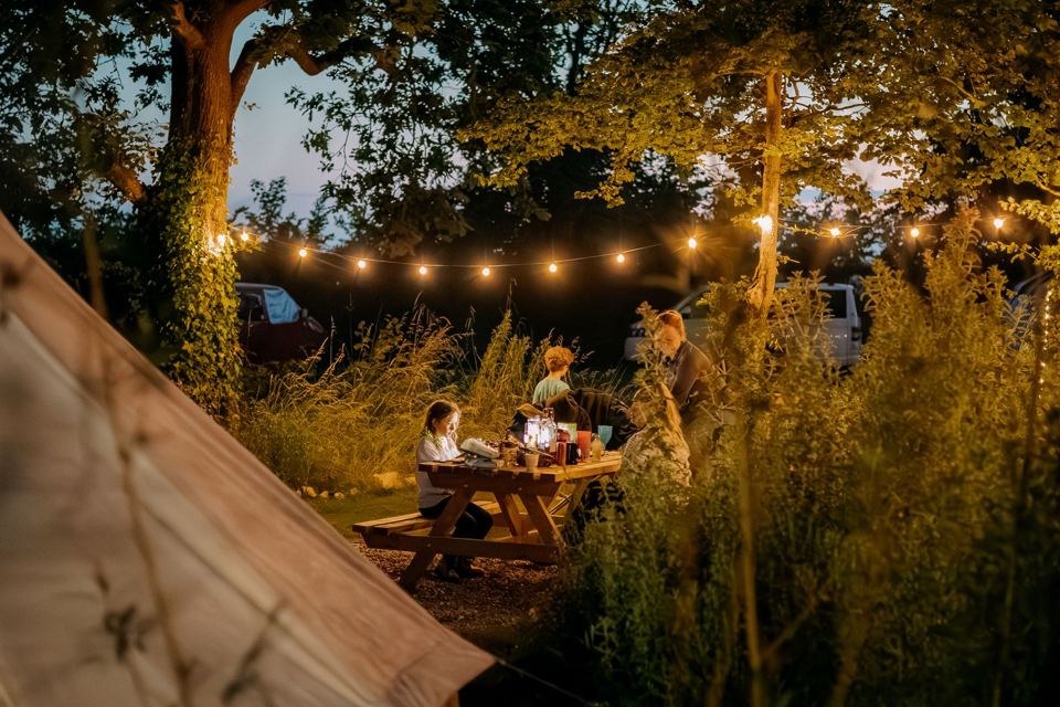 Festoon-lit glade in the evening