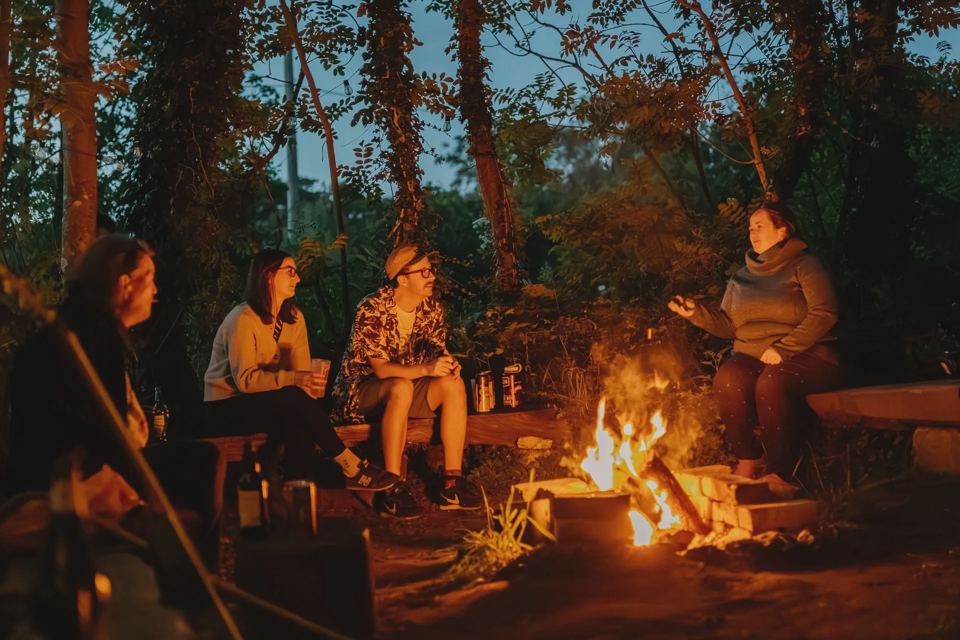 Campfire in the woods at night
