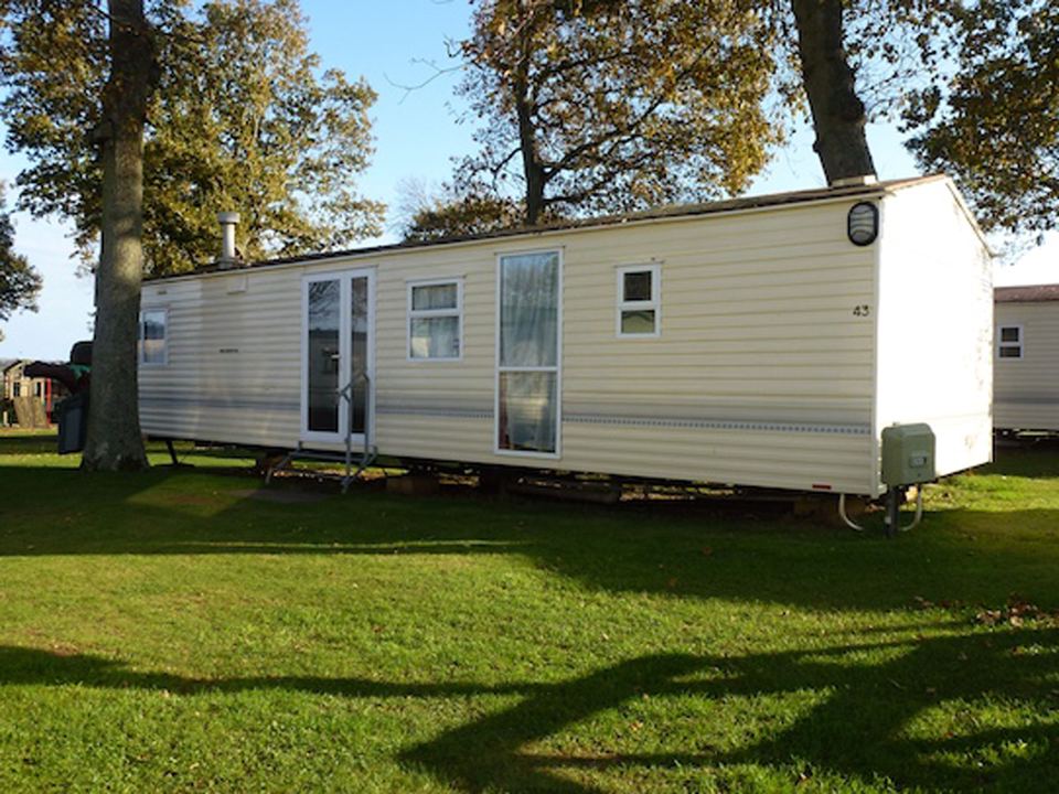Chichester caravan under oaks