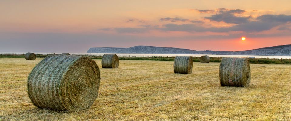 Hay bales in the field at sunset