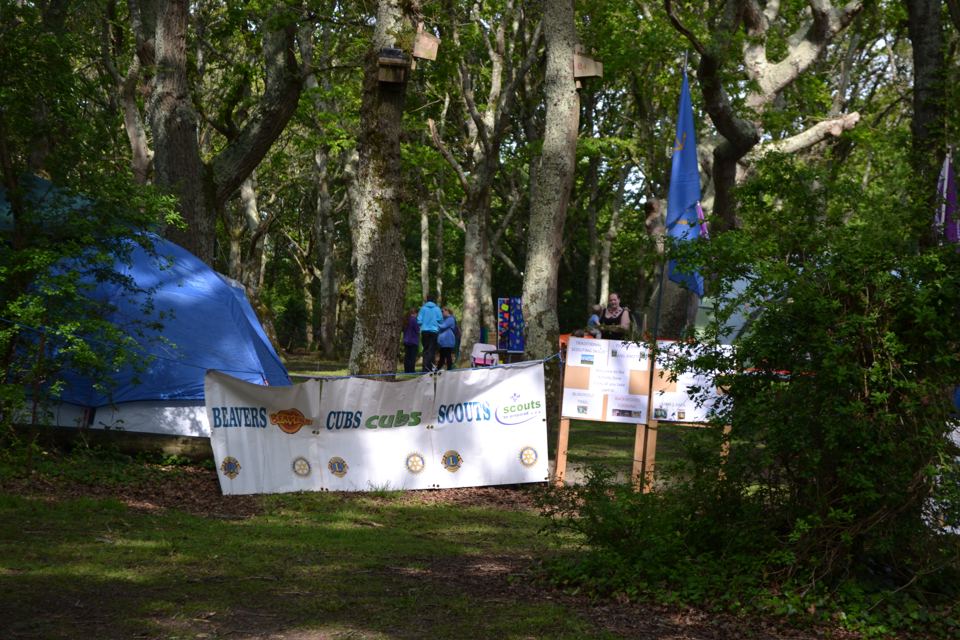 Tents among the oak trees