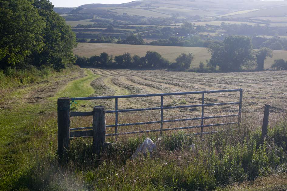 Farmland beyond the gate
