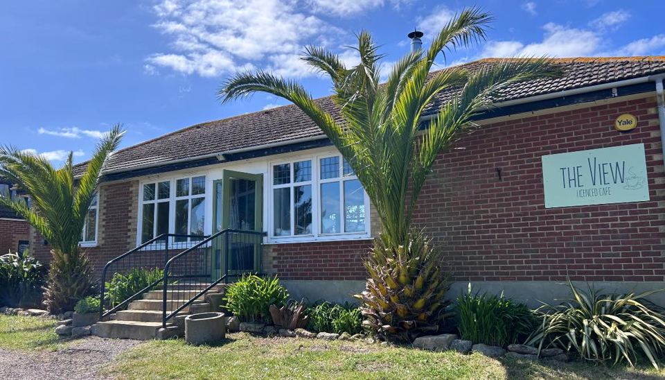 The café building with palms