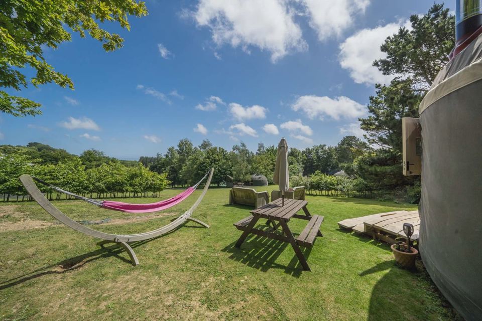 Hammock and picnic bench outside