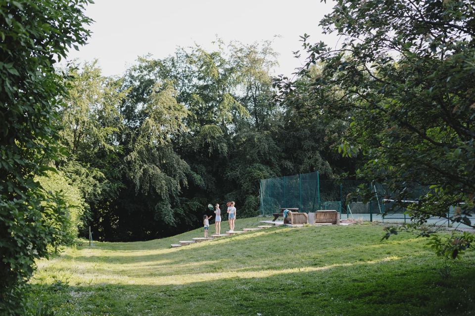 Lawn beside the woodland
