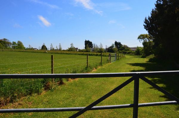 Fenced paddock beside the site