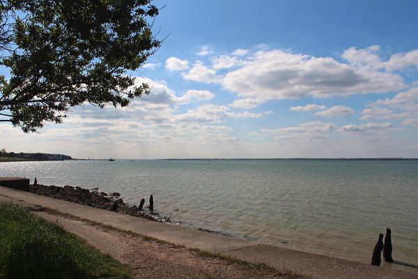 The Solent shore near the site