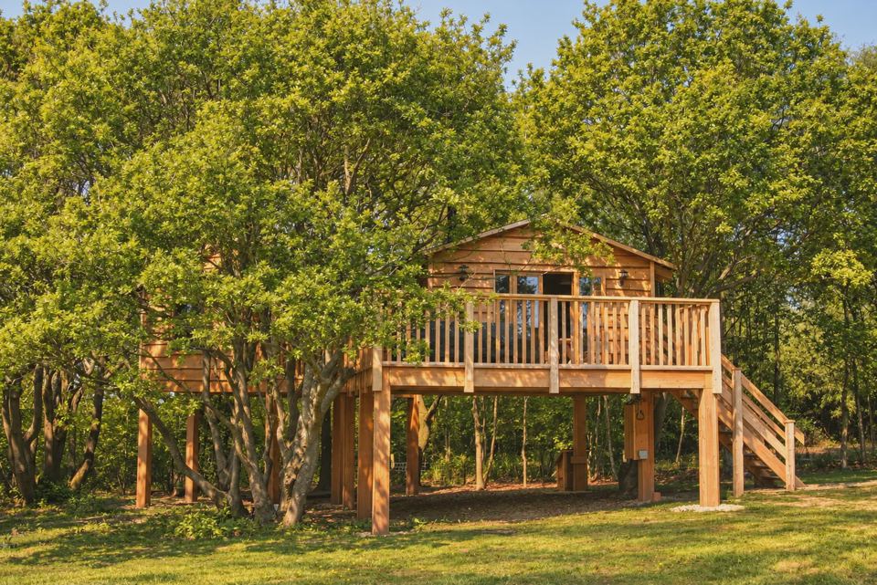 Treehouse among the trees