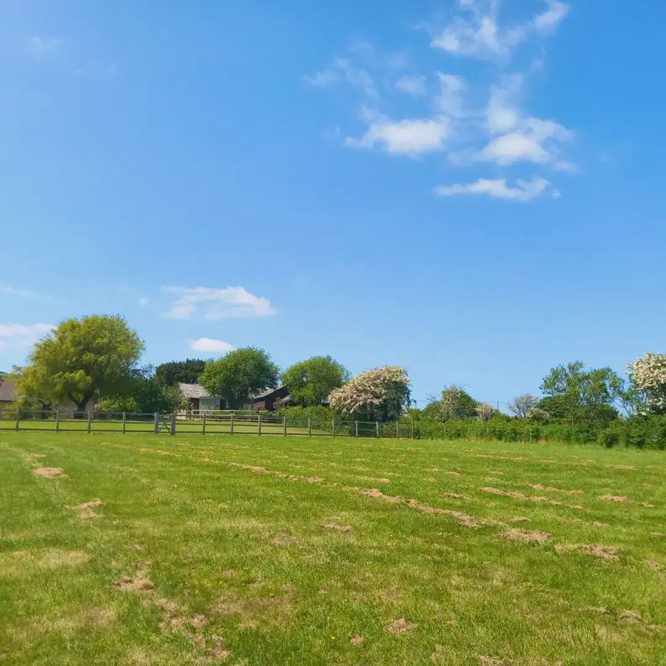 Paddock on the farm