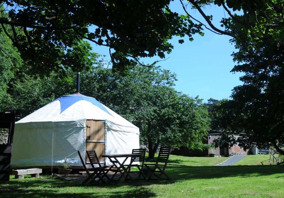 Yurt under the trees