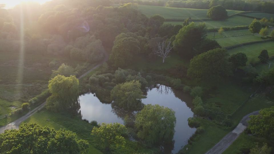 Lakes in the woods from above