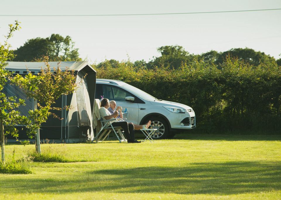 Tent pitch by the hedge