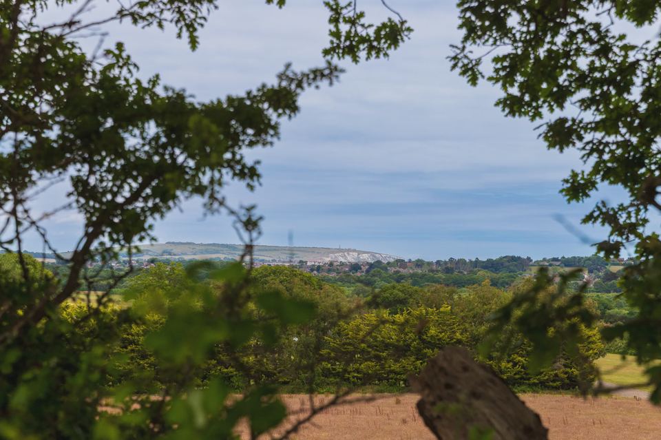 View south from the park