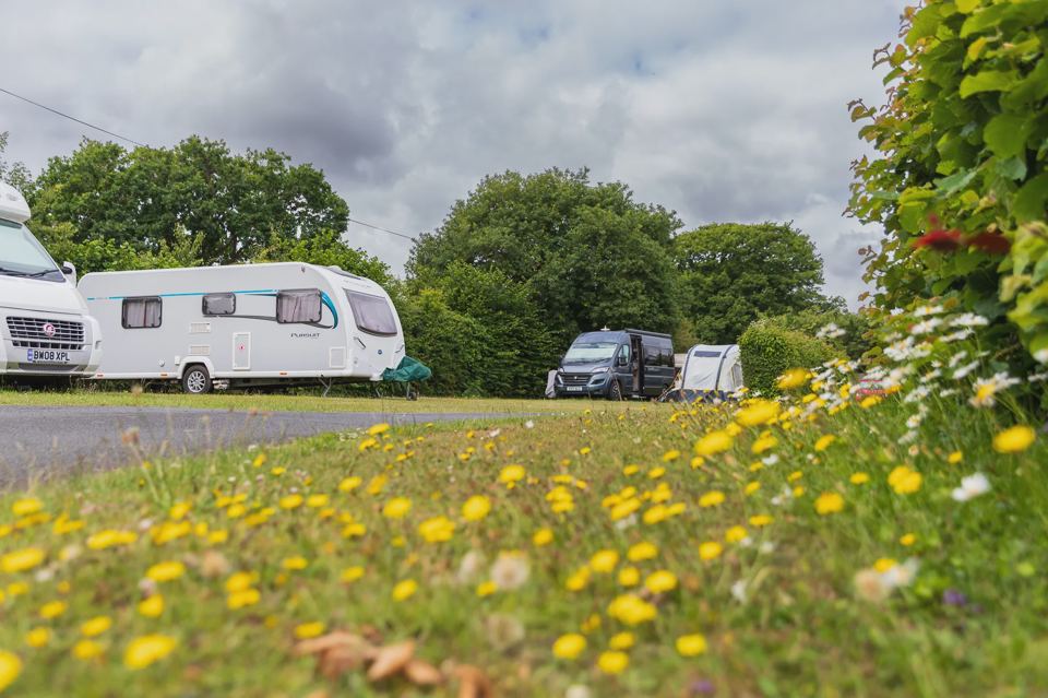 Caravans on grass pitches