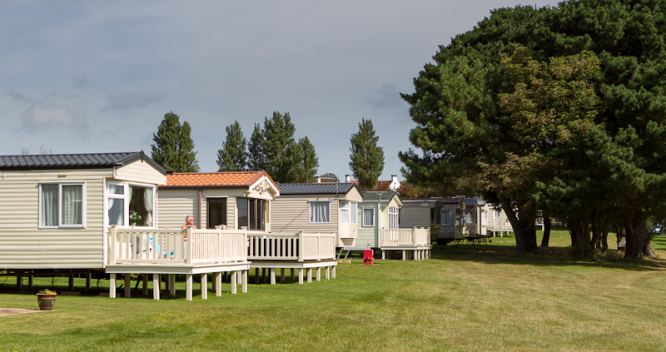 Caravans with decking under pines