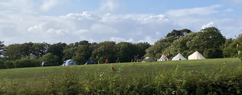 Tents along the edge of the field