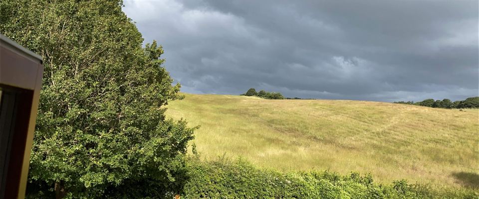 Grass field below the down