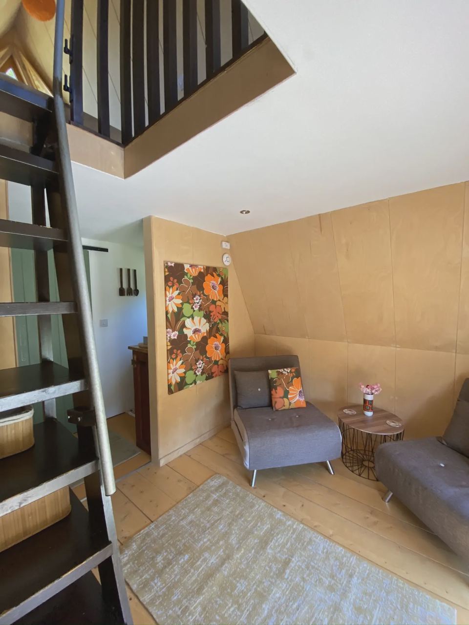 Cabin living area and ladder