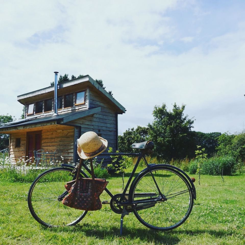 Cabin in the meadow