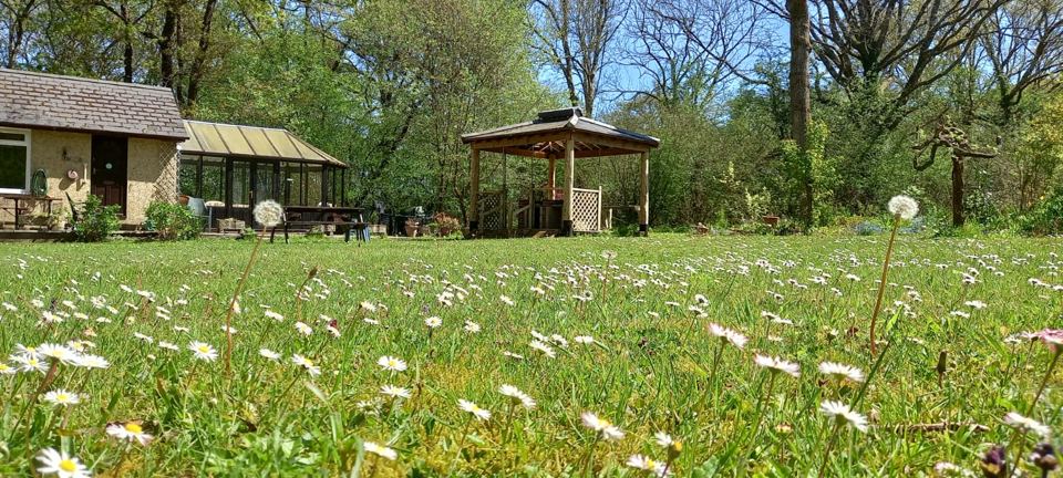 Lawn and gazebo in the woods