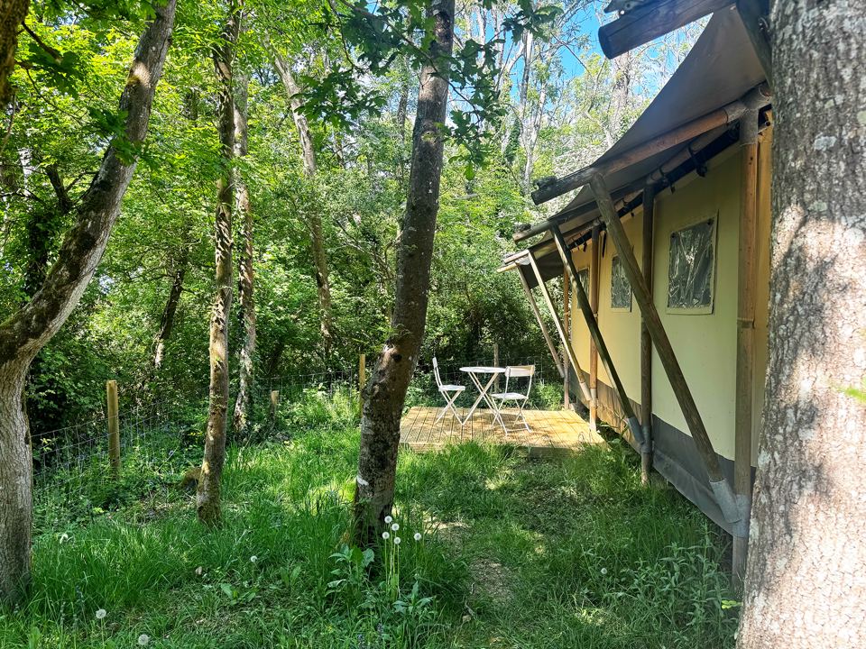 Side of a tent in the trees