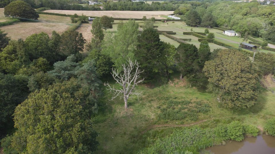 Hedged camping fields from above