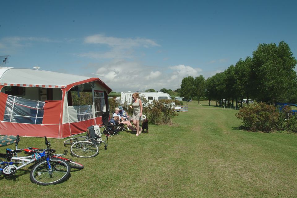 Caravans along the tree line